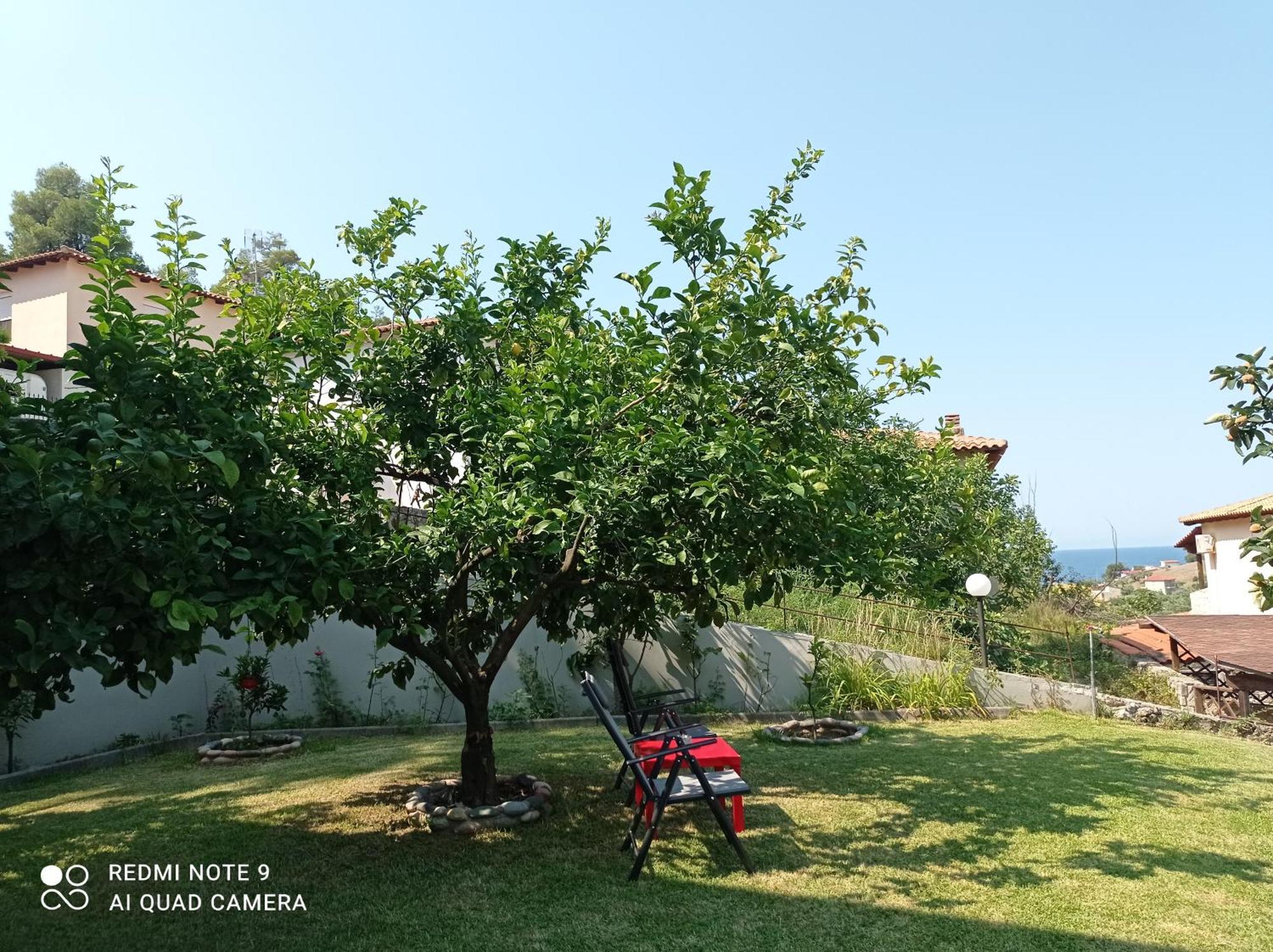 Fotini'S House Apartment Nea Skioni Exterior photo